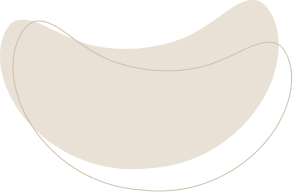 layout-slider2-03.png